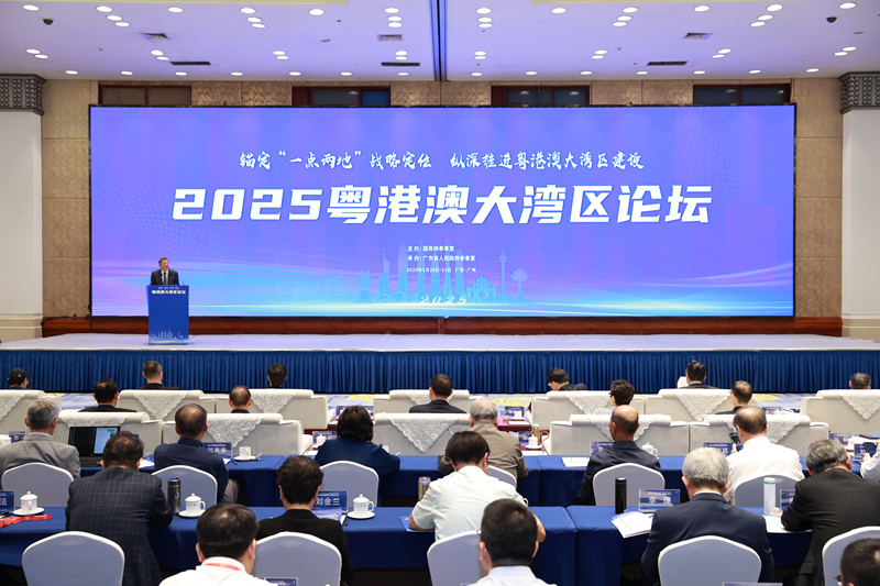 2025粤港澳大湾区论坛在广州举办 高雨出席并致辞