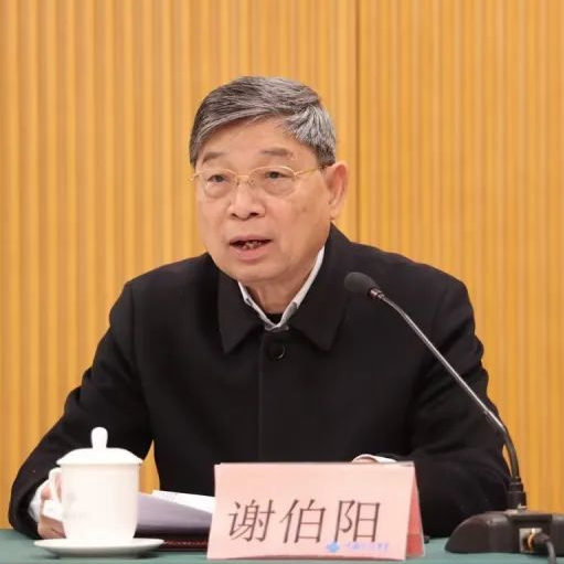 谢伯阳一行赴金杯电工开展“民企出海”专题调研