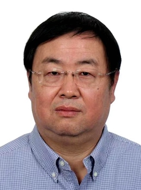 韩子勇：非遗传承人评选应向年轻人倾斜