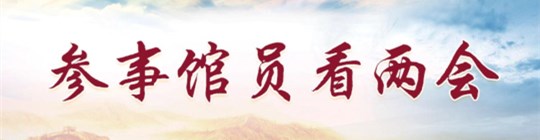 参事馆员看两会