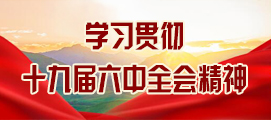 学习贯彻十九届六中全会精神