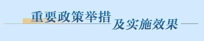 重要政策举措及实施效果